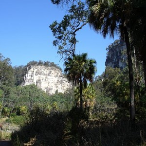 Walking Carnarvon Gorge