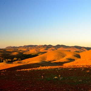 Flinders Ranges - Stokes Hill