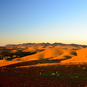 Flinders Ranges - Stokes Hill