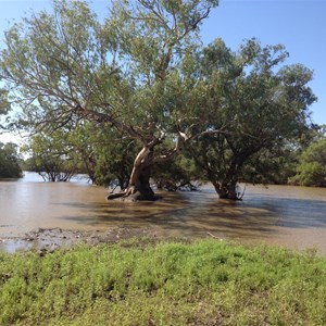 Lower end of Oma Waterhole, near concrete floodway/weir.