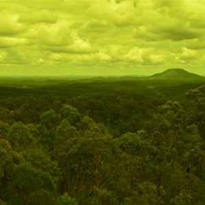 Mt Yengo, Yengo National Park