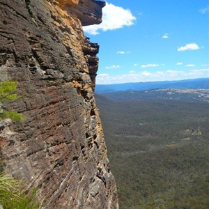 Baz - The Landy (Enjoying the view)