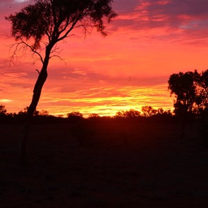 Arthur River - Plenty Highway