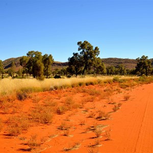 Sandy Blight Junction Track