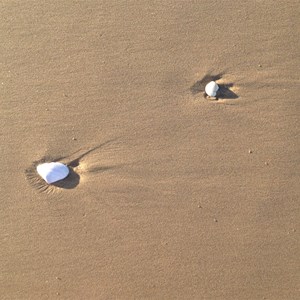 Stockton Beach, NSW