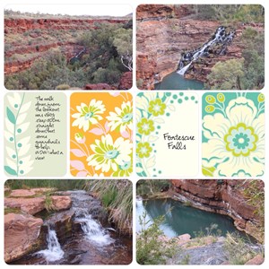 Fortescue Falls