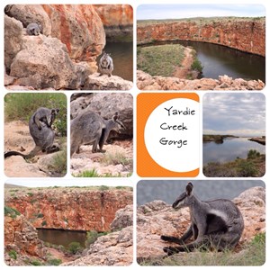 Yardie Creek Gorge