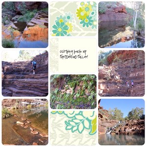 Fortescue Falls Walk