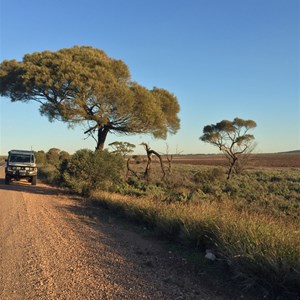 En route to Port Augusta