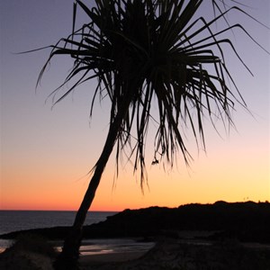 sunset with Pandanus