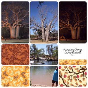 Manning Gorge Campground