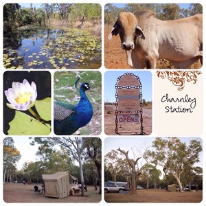 Charnley Station