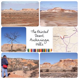 Painted Desert