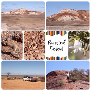 Painted Desert