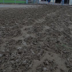 Mmmm.  Are the races going to run tomorrow?  Track a bit muddy at present.
