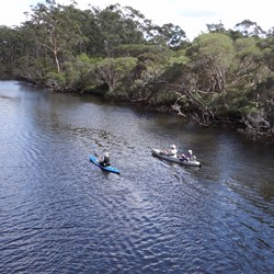 Paddling up to town for morning tea.