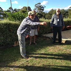 Playing games in the evening