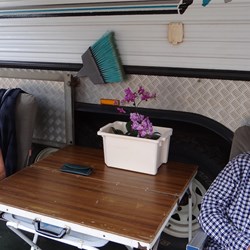 Karl & Thelma relaxing with their beautiful orchids.