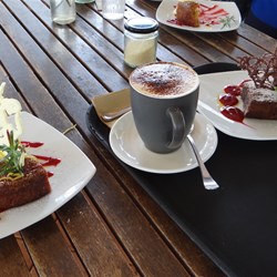 Anyone for morning tea ???