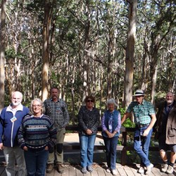 Another stop at the lookout with stunning views of the magnificent karri trees.