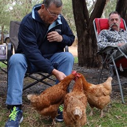 We weren't the only ones enjoying the morning tea.