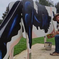 Alan "milking" a cow.