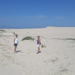 Across the dunes toward darks point