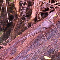 D 4 - Cruising on the lake sights