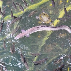 D 4 - Cruising on the lake sights