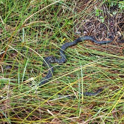 D 4 - Cruising on the lake sights