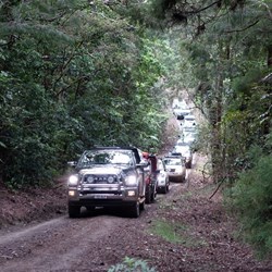 D 4 - Bog-ers tackling the track to Gillies Lookout