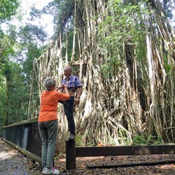 D 4 - Meg preparing our model