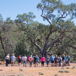 Gundabooka National Park visit