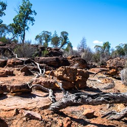 Gundabooka National Park visit