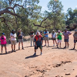 Gundabooka National Park visit
