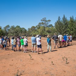 Gundabooka National Park visit