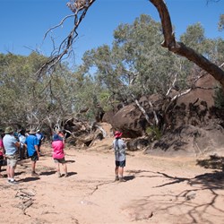 Gundabooka National Park visit