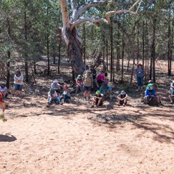 Gundabooka National Park visit