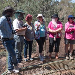 Gundabooka National Park visit