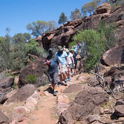 Gundabooka National Park visit