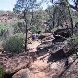 Gundabooka National Park visit