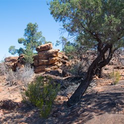 Gundabooka National Park visit