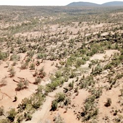 Gundabooka National Park