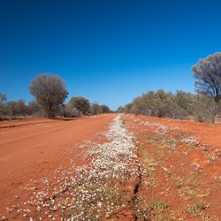 Gundabooka National Park visit