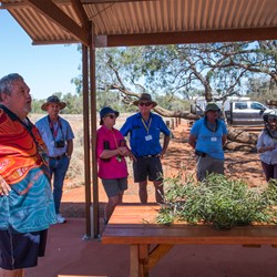 Gundabooka National Park visit