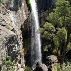 Preston Falls