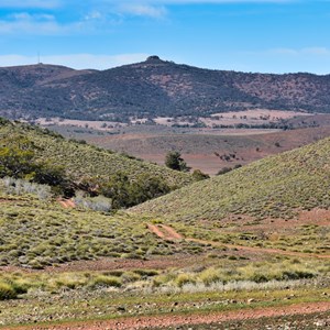 Four Wheel Drive Tracks on Horseshoe Top End