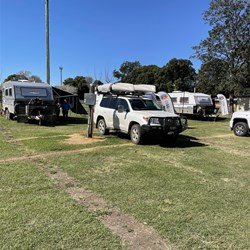 Committee Flags setup