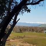 Snow capped mountains 