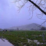 Corryong views